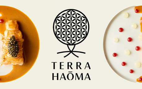 Terra Haōma Kachel