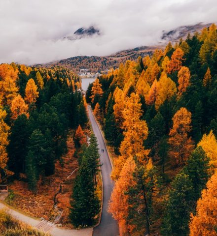 Herbst