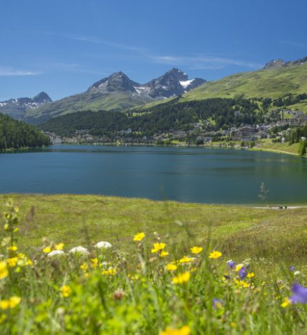 ENGADIN ST. MORITZ - View from the shore of Lake St. Moritz, with Piz Albana (3100m) and Piz Julier (3380m) in the background. View from the shore of Lake St. Moritz, with Piz Albana (3100m) and Piz Julier (3380m) in the background. Copyright by: ENGADIN St. Moritz By-line: swiss-image.ch/Christof Sonderegger