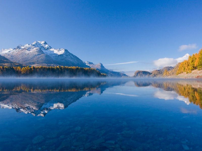 ENGADIN St. Moritz - Golden larch trees by Lake Sils, in the background Piz la Margna (3159 m), Piz Salacina (2'599 m) and Piz Lunghin (2'780 m).ENGADIN St. Moritz - Golden larch trees by Lake Sils, with Piz la Margna (3,159m), Piz Salacina (2,599m) and Piz Lunghin (2,780m) in the background.ENGADIN St. Moritz - larici dorati al lago di Sils, sullo sfondo il Piz la Margna (3`159 m) , Piz Salacina (2,599 m) and Piz Lunghin (2,780 m).Copyright by ENGADIN St. Moritz By-line:swiss-image.ch/Christof Sonderegger