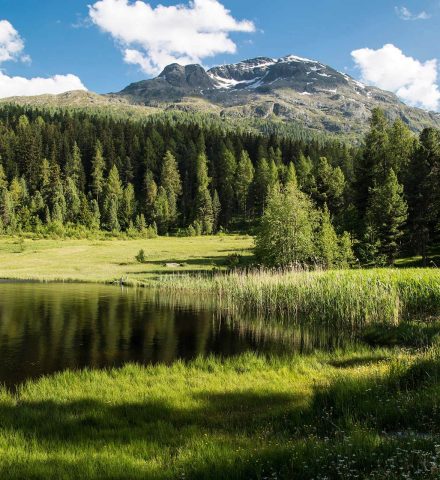 lejdastaz-summer-outdoor-lake-moor